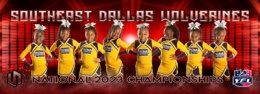 2023 UYFL - Cheer - 20 - Southeast Dallas Wolverines - 8U Small - AM Session - TEAM PHOTO